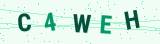 Security Captcha